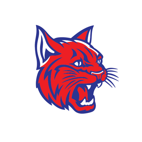 Edinburg Bobcats