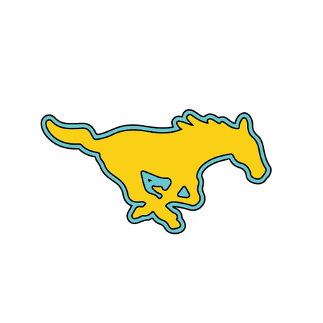 McAllen Mustangs