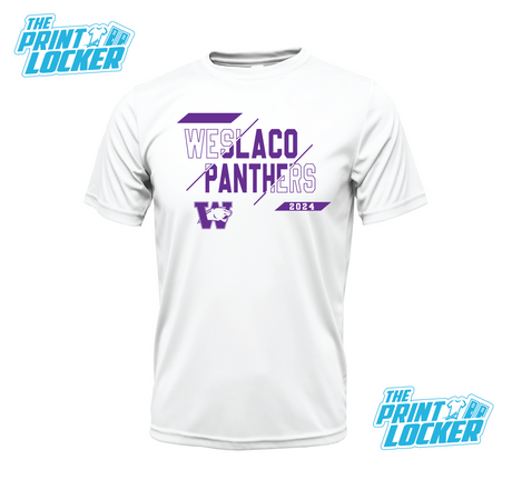 Panthers Slash Design Drifit Short Sleeve